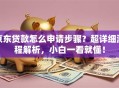 京东贷款怎么申请步骤？超详细流程解析，小白一看就懂！