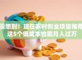 没想到！现在农村创业项目推荐 这5个低成本也能月入过万