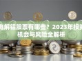 电解铝股票有哪些？2023年投资机会与风险全解析
