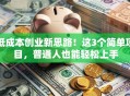 低成本创业新思路！这3个简单项目，普通人也能轻松上手