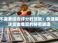 不需要综合评分的贷款：快速解决资金难题的秘密通道
