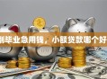 刚毕业急用钱，小额贷款哪个好？