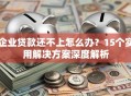 企业贷款还不上怎么办？15个实用解决方案深度解析