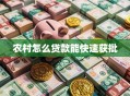 农村怎么贷款能快速获批