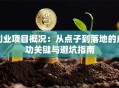 创业项目概况：从点子到落地的成功关键与避坑指南