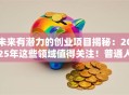 未来有潜力的创业项目揭秘：2025年这些领域值得关注！普通人也能入局