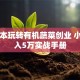 零成本玩转有机蔬菜创业 小白月入5万实战手册