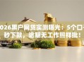 2026黑户网贷实测曝光：5个口子秒下款，逾期无工作照样批！