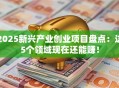 2025新兴产业创业项目盘点：这5个领域现在还能赚！