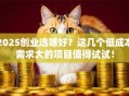 2025创业选啥好？这几个低成本需求大的项目值得试试！
