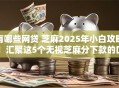 有哪些网贷 芝麻2025年小白攻略！汇聚这5个无视芝麻分下款的口子