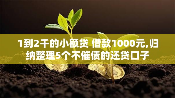 1到2千的小额贷 借款1000元,归纳整理5个不催债的还贷口子