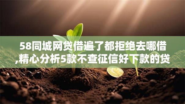 58同城网贷借遍了都拒绝去哪借,精心分析5款不查征信好下款的贷款平台