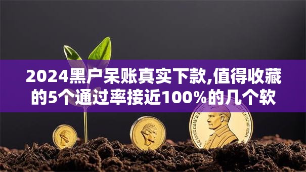 2024黑户呆账真实下款,值得收藏的5个通过率接近100%的几个软件