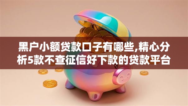 黑户小额贷款口子有哪些,精心分析5款不查征信好下款的贷款平台