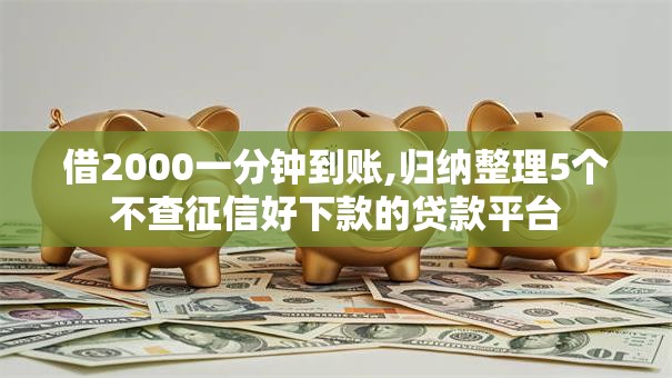 借2000一分钟到账,归纳整理5个不查征信好下款的贷款平台