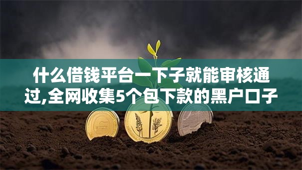 什么借钱平台一下子就能审核通过,全网收集5个包下款的黑户口子