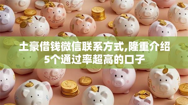土豪借钱微信联系方式,隆重介绍5个通过率超高的口子