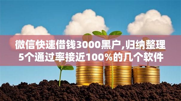 微信快速借钱3000黑户,归纳整理5个通过率接近100%的几个软件