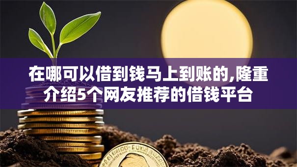 在哪可以借到钱马上到账的,隆重介绍5个网友推荐的借钱平台