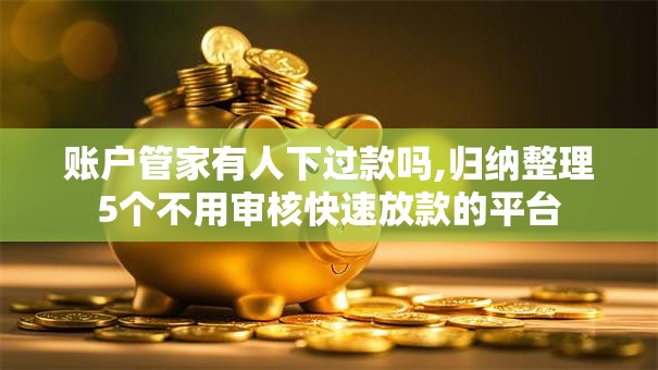 账户管家有人下过款吗,归纳整理5个不用审核快速放款的平台