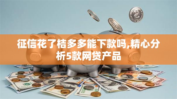 征信花了桔多多能下款吗,精心分析5款网贷产品