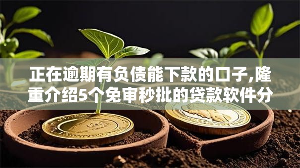 正在逾期有负债能下款的口子,隆重介绍5个免审秒批的贷款软件分享给你