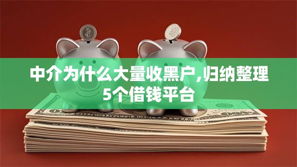 中介为什么大量收黑户,归纳整理5个借钱平台