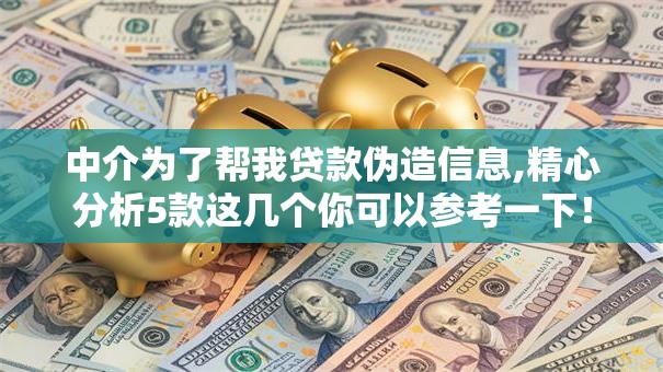 中介为了帮我贷款伪造信息,精心分析5款这几个你可以参考一下！