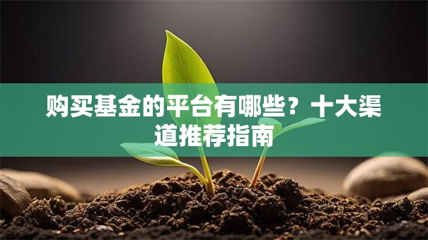 购买基金的平台有哪些？十大渠道推荐指南