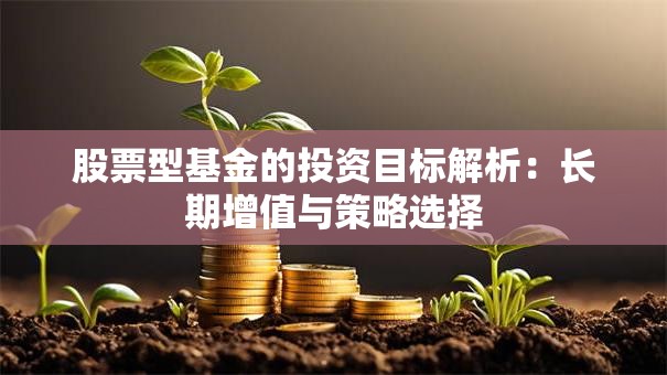 股票型基金的投资目标解析：长期增值与策略选择