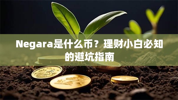 Negara是什么币？理财小白必知的避坑指南