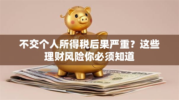 不交个人所得税后果严重？这些理财风险你必须知道