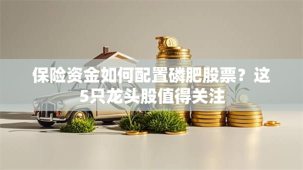 保险资金如何配置磷肥股票？这5只龙头股值得关注