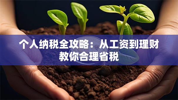 个人纳税全攻略：从工资到理财教你合理省税