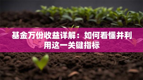 基金万份收益详解：如何看懂并利用这一关键指标