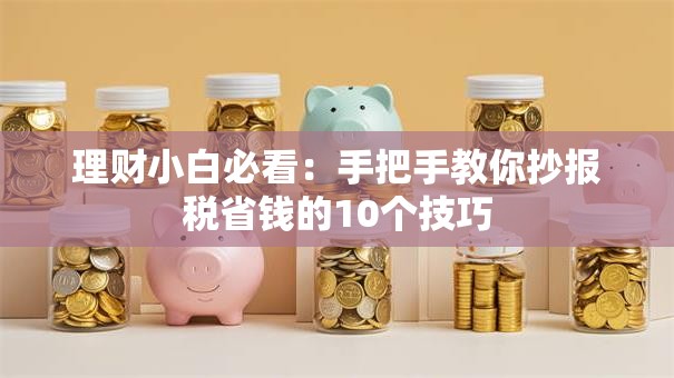 理财小白必看：手把手教你抄报税省钱的10个技巧