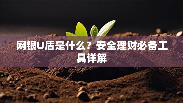 网银U盾是什么？安全理财必备工具详解
