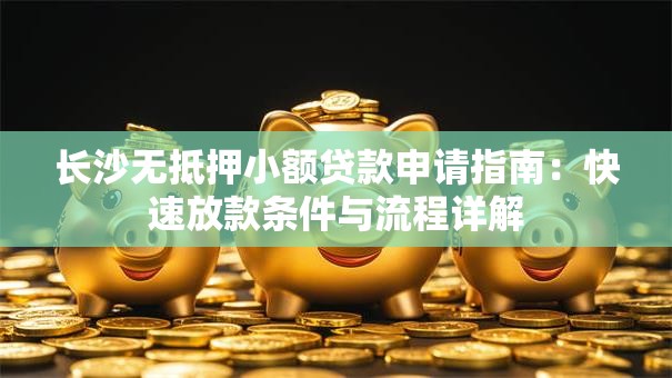 长沙无抵押小额贷款申请指南：快速放款条件与流程详解