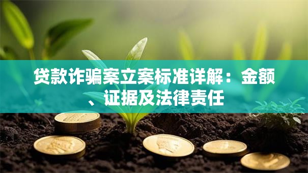 贷款诈骗案立案标准详解：金额、证据及法律责任
