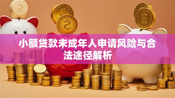 小额贷款未成年人申请风险与合法途径解析