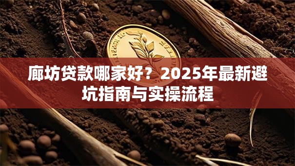 廊坊贷款哪家好？2025年最新避坑指南与实操流程