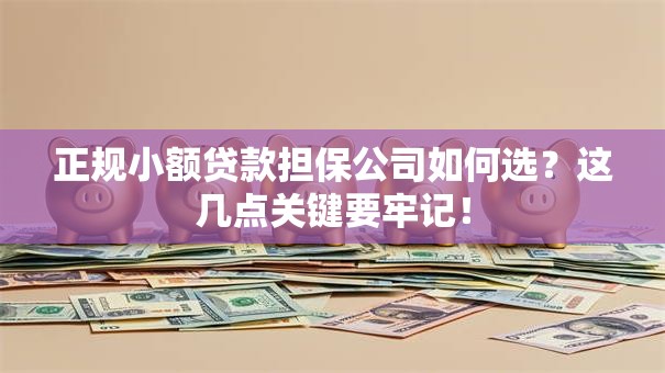 正规小额贷款担保公司如何选？这几点关键要牢记！