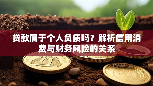 贷款属于个人负债吗？解析信用消费与财务风险的关系