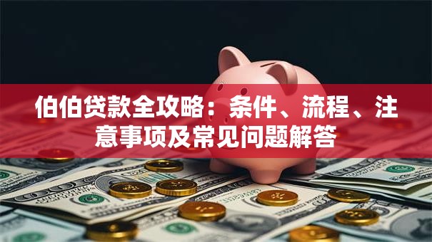 伯伯贷款全攻略：条件、流程、注意事项及常见问题解答