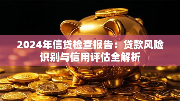 2024年信贷检查报告：贷款风险识别与信用评估全解析