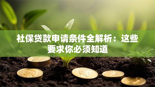 社保贷款申请条件全解析：这些要求你必须知道