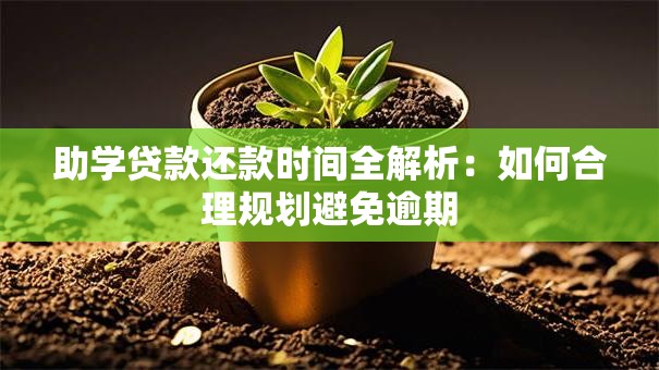 助学贷款还款时间全解析：如何合理规划避免逾期