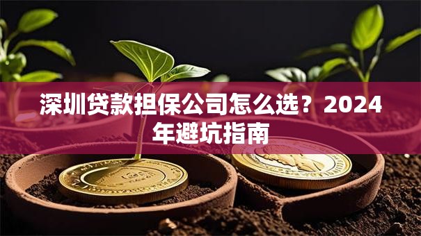 深圳贷款担保公司怎么选？2024年避坑指南