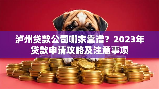 泸州贷款公司哪家靠谱？2023年贷款申请攻略及注意事项